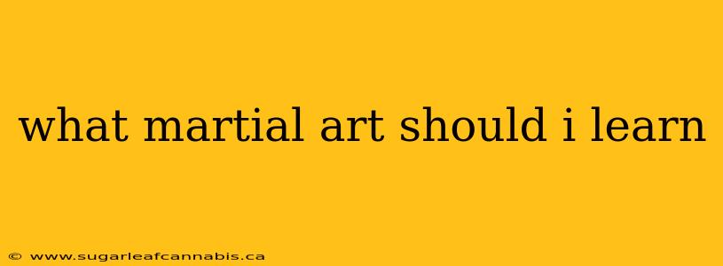 what martial art should i learn