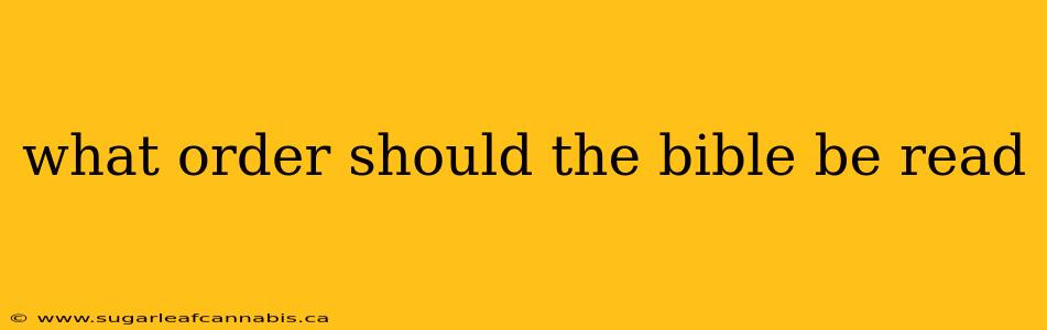 what order should the bible be read