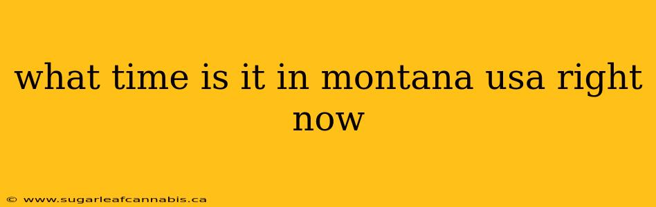what time is it in montana usa right now