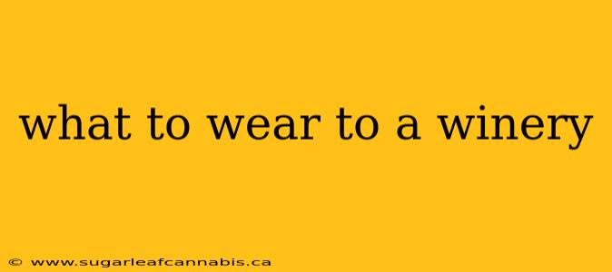 what to wear to a winery
