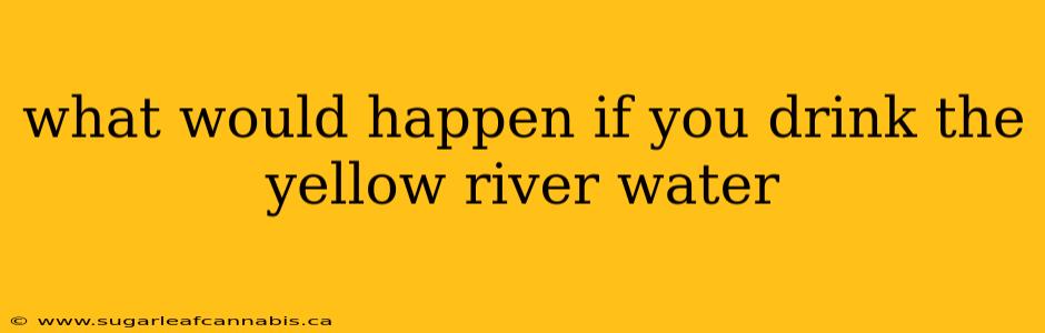 what would happen if you drink the yellow river water