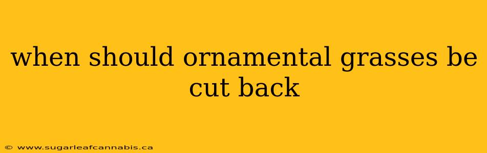 when should ornamental grasses be cut back