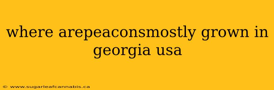 where arepeaconsmostly grown in georgia usa