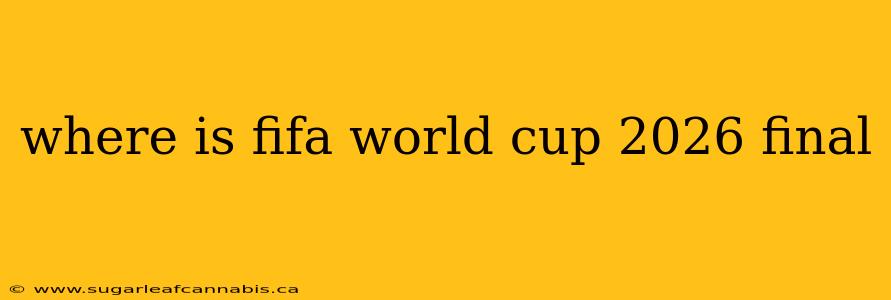 where is fifa world cup 2026 final