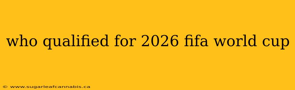 who qualified for 2026 fifa world cup