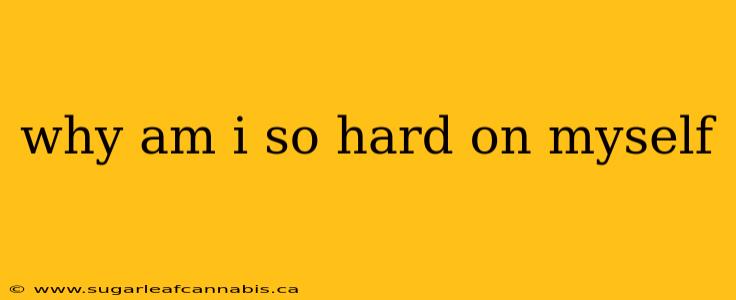 why am i so hard on myself