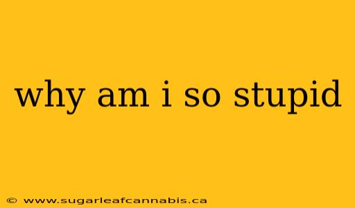 why am i so stupid