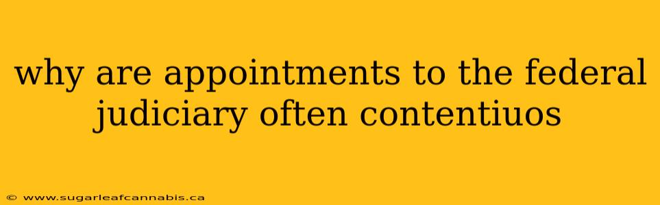 why are appointments to the federal judiciary often contentiuos