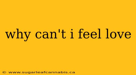 why can't i feel love