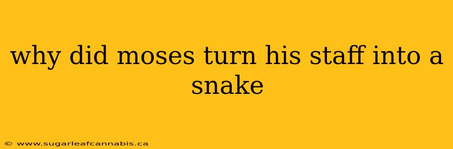 why did moses turn his staff into a snake