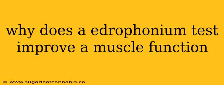 why does a edrophonium test improve a muscle function
