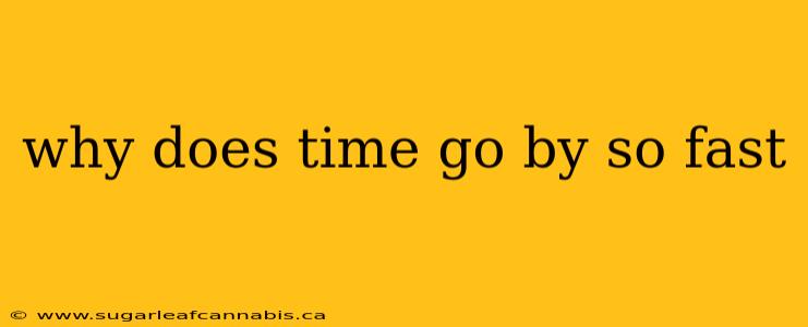 why does time go by so fast