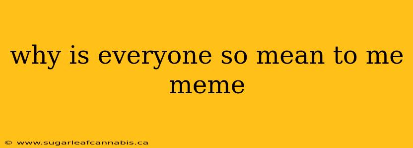 why is everyone so mean to me meme