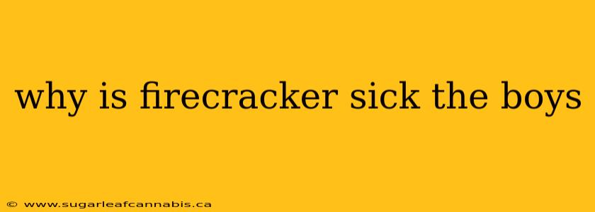 why is firecracker sick the boys