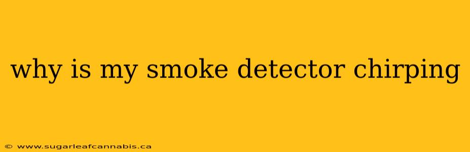 why is my smoke detector chirping