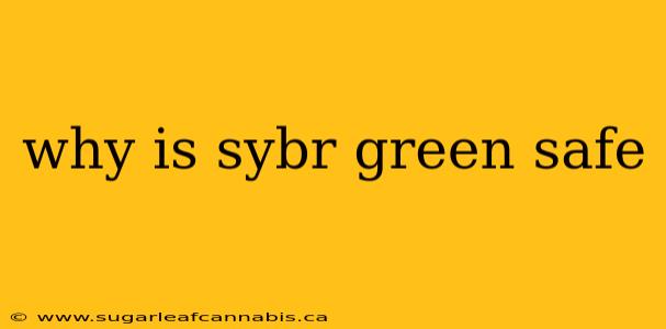 why is sybr green safe
