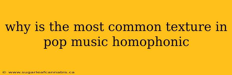 why is the most common texture in pop music homophonic