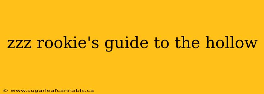 zzz rookie's guide to the hollow